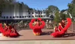 扇子舞视频大全,揭秘扇子舞视频大全中的艺术魅力