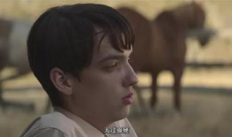 性故事视频,性故事视频深度解析